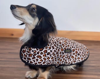 Luxury Dachshund Coat, Leopard Print Custom Measurements Dog Coat