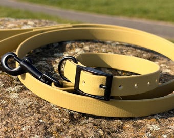 Waterproof BioThane Dachshund Leash and Collar Set, Vegan Dog Accessories
