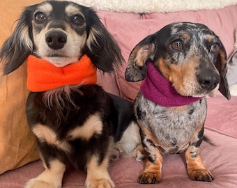 Fleece-taxhundssnood, Hundsnoods