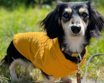 Dachshund Jumper, Quilted Cotton Fleece Dog Coat