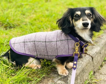 Dachshund coat, Tweed Custom Fit Dachshund Coat, Purple Tweed Dog Coat, Dachshund Gift