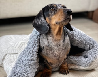 Dachshund Snuggle Sack | Cosy Sherpa Fleece Dog Bed  | Warm, Stylish, Comforting Pet Cozy Cave