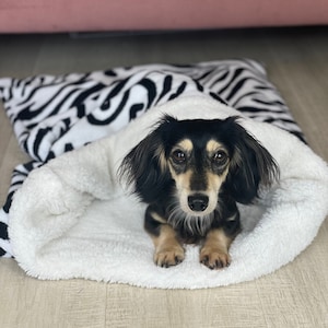 Dog beds for mini dachshunds hotsell