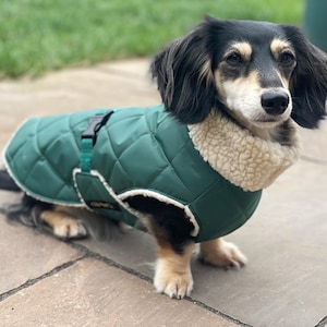 Dachshund Winter Coat, Extra Warm Dachshund Coat