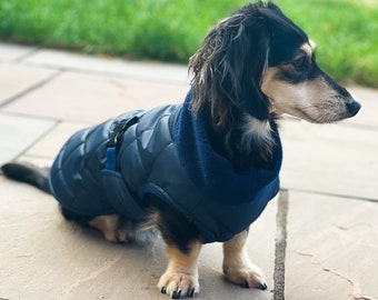 Luxury Quilted Dachshund Coat, Dachshund Coat with Chest Cover