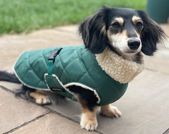 Dachshund Waterproof Winter Coat with Sherpa Fleece Lining