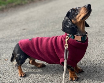 Dachshund Fleece, Luxury Dachshund Coat, Standard Sized Dachshund Jumper, Dachshund Coat