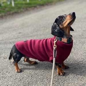 Dachshund Fleece, Luxury Dachshund Coat, Standard Sized Dachshund Jumper, Dachshund Coat