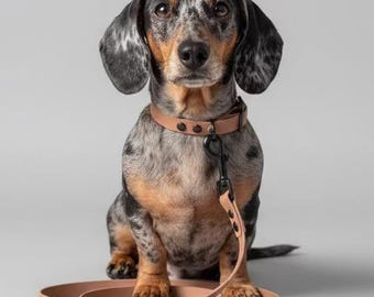 BioThane Dachshund Leash and Collar Set, Waterproof Vegan Dog Accessories UK