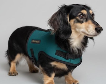 May include: A long-haired black and tan dachshund wearing a solid teal dog harness with black trim and a black plastic buckle. A rectangular patch on the side of the harness features the text "Ohai Pup Co." in a gold-colored font.