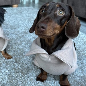 Dachshund Jumper, Zip Neck Dog Sweater
