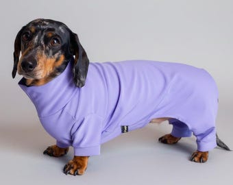 Waterproof Dachshund Dog Suit, Lightweight 4-Legged Small Dog Coat