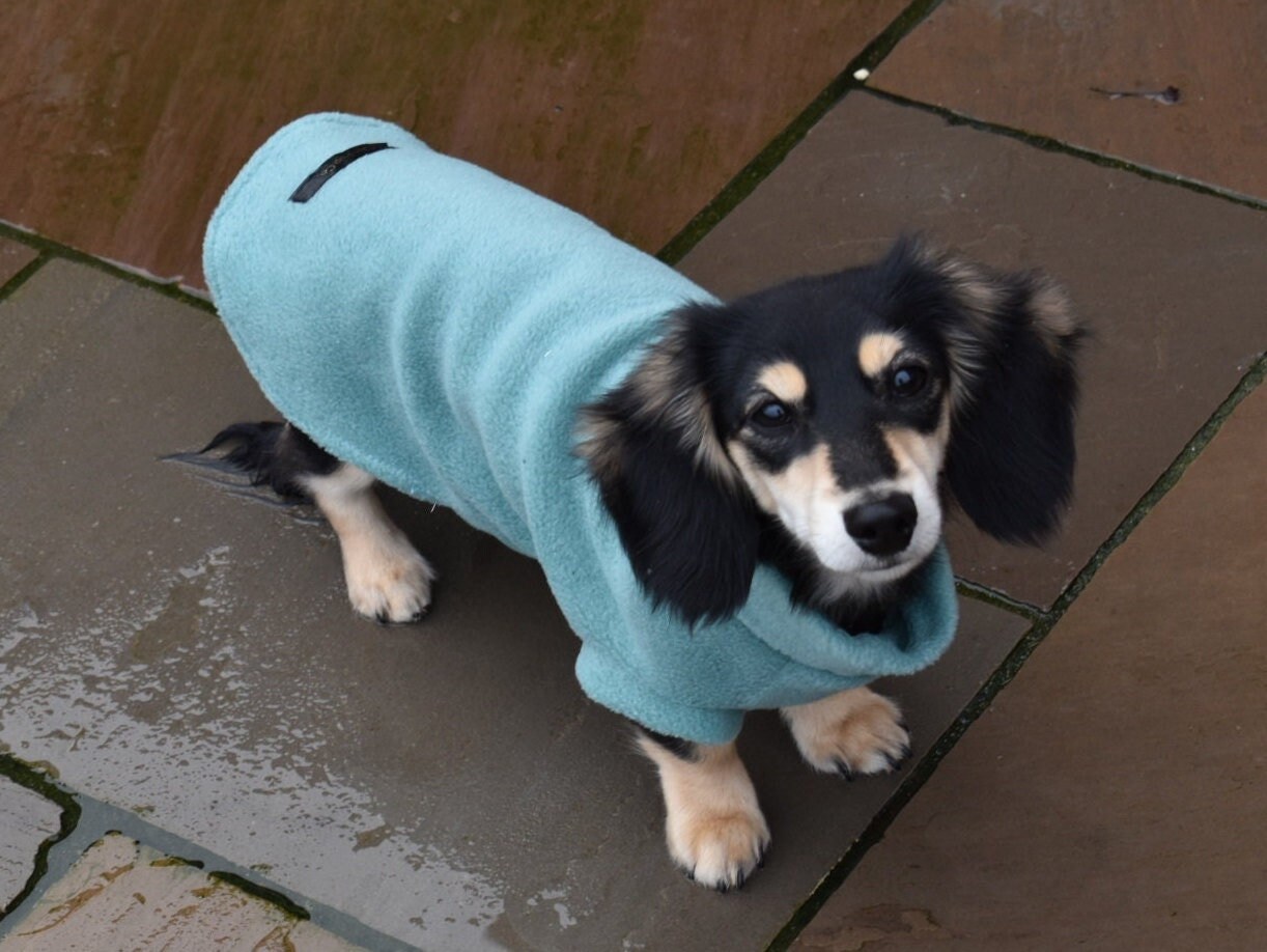 Luxury Dachshund Fleece Custom Made Fleece Jumper Dachshund Etsy