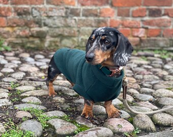 ダックスフンドフリース、高級ダックスフンドコート、標準サイズの