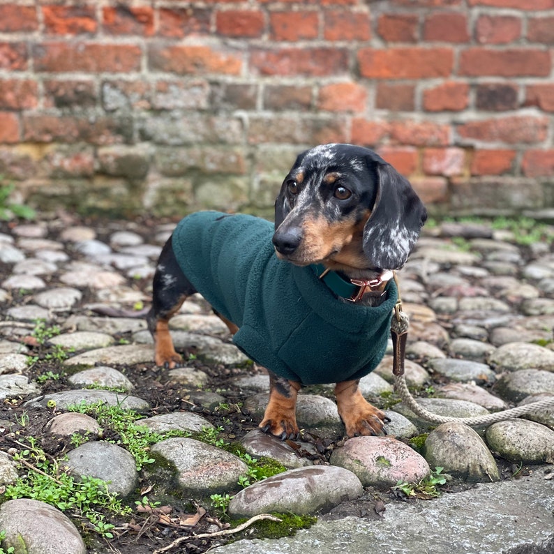 Dachshund Fleece, Luxury Dachshund Coat, Standard Sized Dachshund Jumper, Dachshund Coat image 7