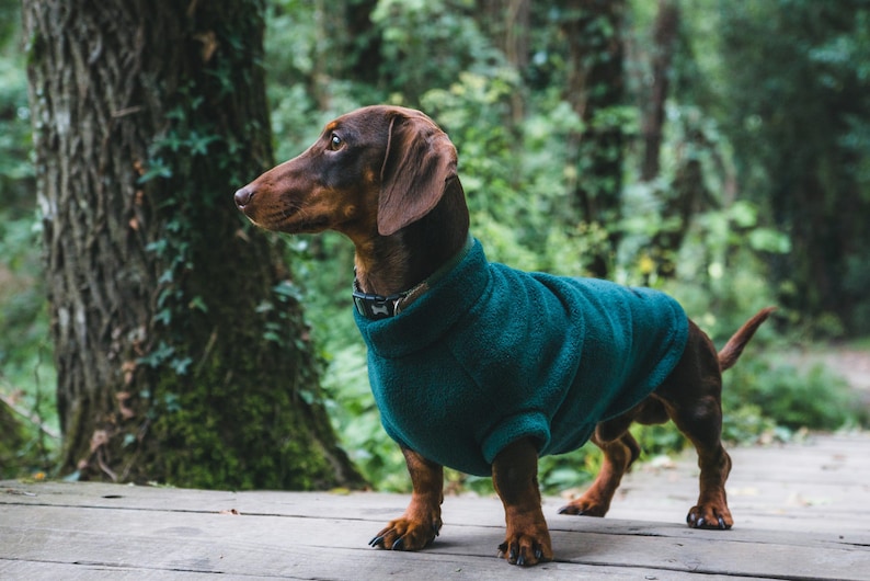 Dachshund Fleece, Luxury Dachshund Coat, Standard Sized Dachshund Jumper, Dachshund Coat image 4