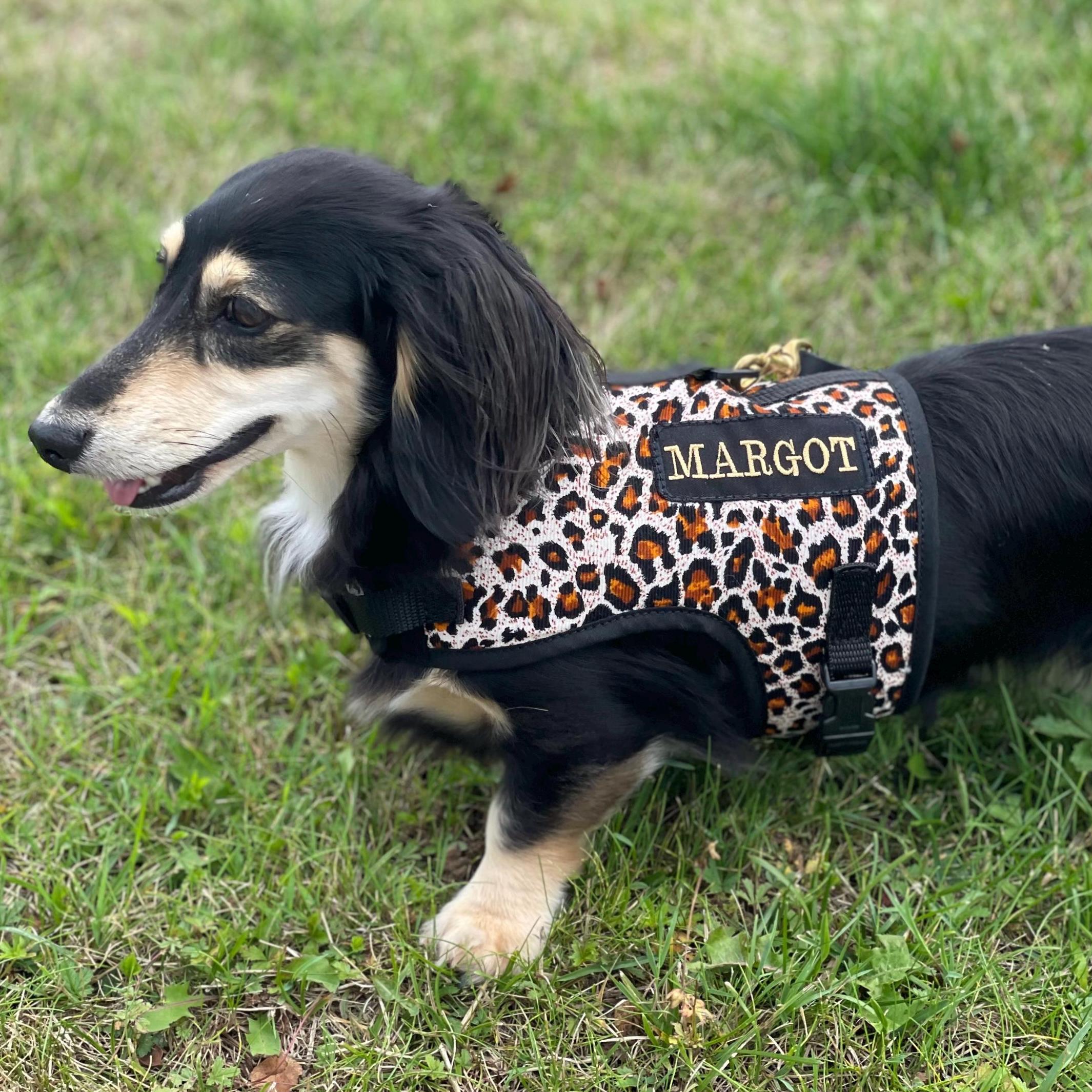 Cheetah Dog Harness Canada
