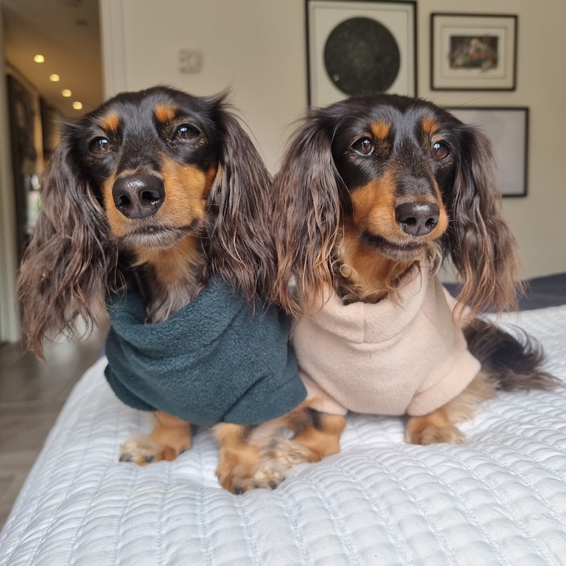 Dachshund Fleece, Luxury Dachshund Coat, Standard Sized Dachshund Jumper, Dachshund Coat image 3