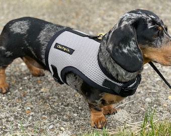 Dachshund No Rub Harness, Comfortable Breathable Mesh Dog Harness