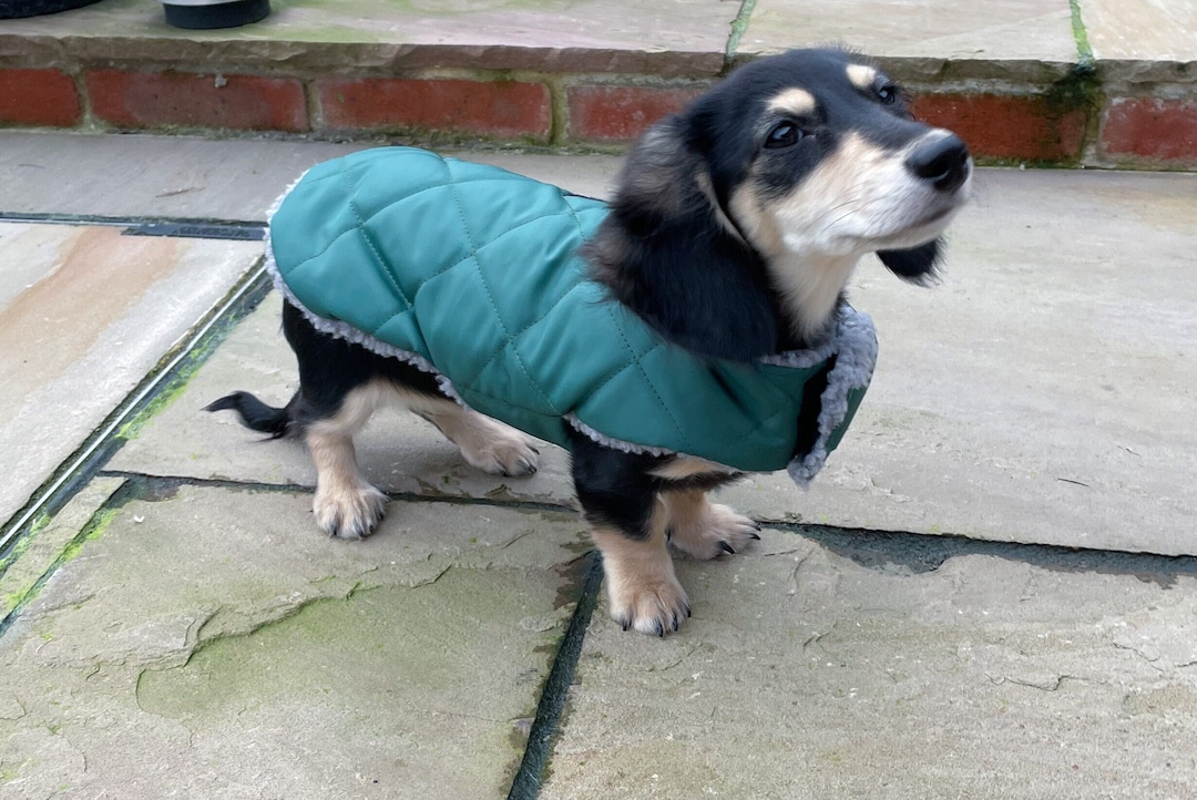 Extra Warm Dachshund Coat, Waterproof Custom Fit, Dachshund Winter Coat