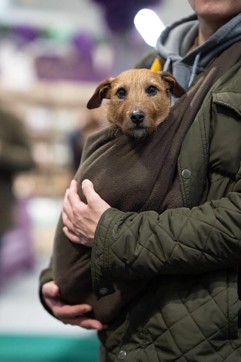Fleece Dachshund Sling, Small Dog Carrier, Comfortable Pet Sling