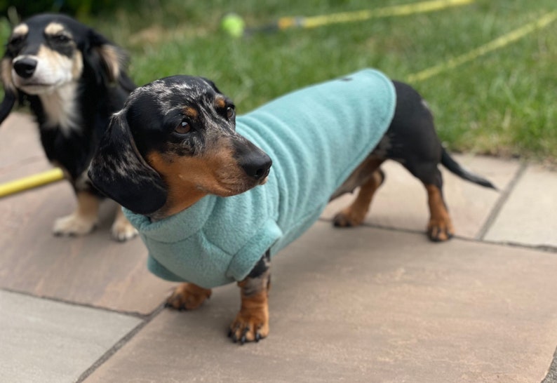 Dachshund Fleece Dachshund jumper zdjęcie 9