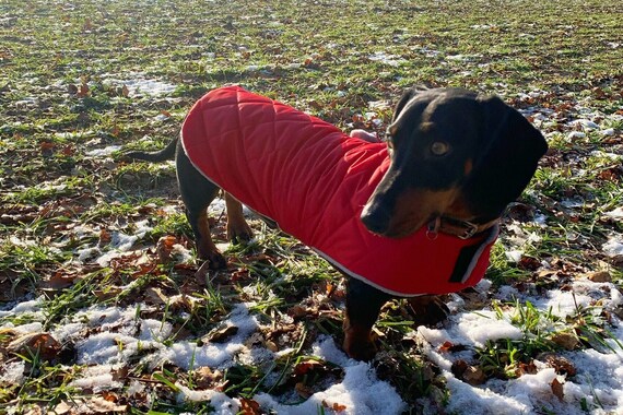 sausage dog waterproof coat
