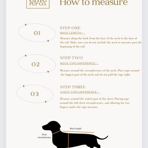 Peut inclure: Diagramme montrant comment mesurer un chien pour un collier ou un harnais sur mesure. Le diagramme montre une silhouette noire de teckel avec trois mesures indiqu&eacute;es&nbsp;: circonf&eacute;rence du cou, longueur du dos et circonf&eacute;rence de la poitrine. Le texte comprend des instructions pour mesurer chaque partie du chien.