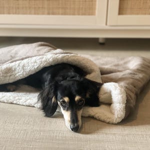 Dachshund Snuggle Sack Bed, Burrowing Dog Sleeping Bag, Puppy Blanket, Sherpa Lined Nesting Bed image 3