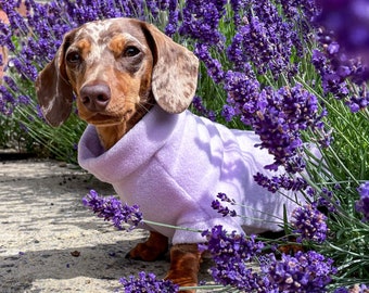 Spring Fleece Jumpers for Small Dogs - Handmade Dachshund Collection in Custom Sizes