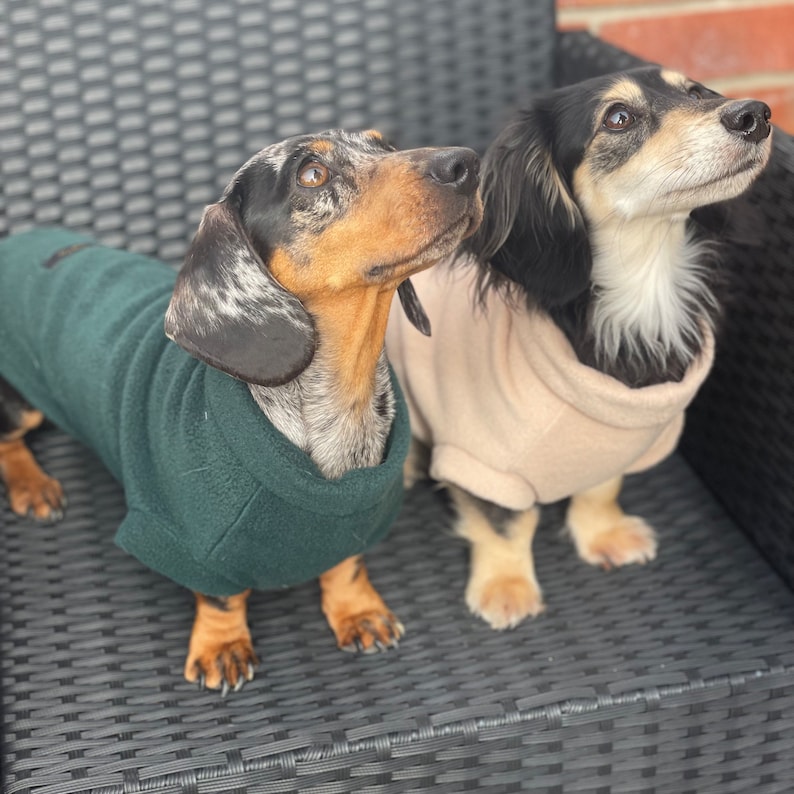 Dachshund Fleece, Luxury Dachshund Coat, Standard Sized Dachshund Jumper, Dachshund Coat image 9