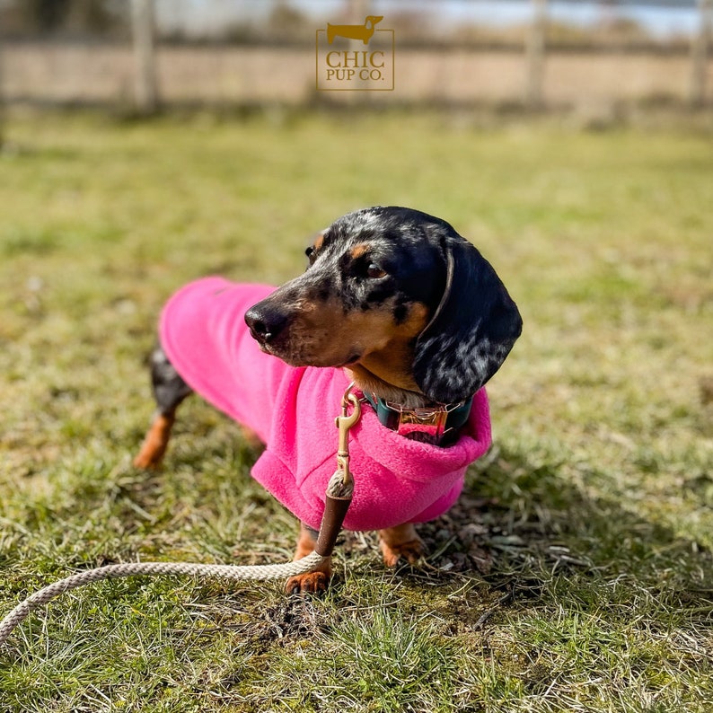 Dachshund Fleece Dachshund jumper zdjęcie 6