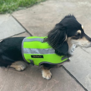 Peut inclure: Un petit chien noir et blanc portant un gilet de s&eacute;curit&eacute; vert vif avec des bandes r&eacute;fl&eacute;chissantes. Le gilet porte le texte "Chic Pup Co.".