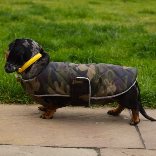 Custom Fit Dachshund Coat Waterproof Dog Coat Sausage Dog Etsy