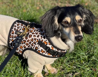 Dachshund Harness: No Rub Leopard Print Dog Harness, Optional Name Patch