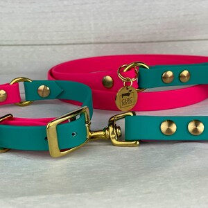Könnte beinhalten: Ein Hundehalsband und eine Leine im Set in Türkis und Pink mit goldenen Beschlägen. Das Halsband hat einen Schnallenverschluss und die Leine einen Clip. Beide haben goldene Nieten und ein goldenes Schild mit der Aufschrift "Chic Pup Co."