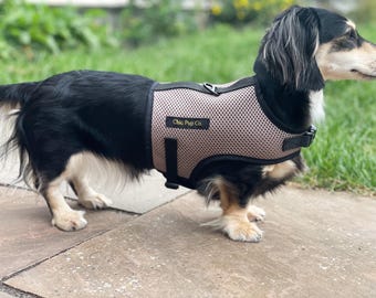 Dachshund Harness, Rub Free Dachshund Harness
