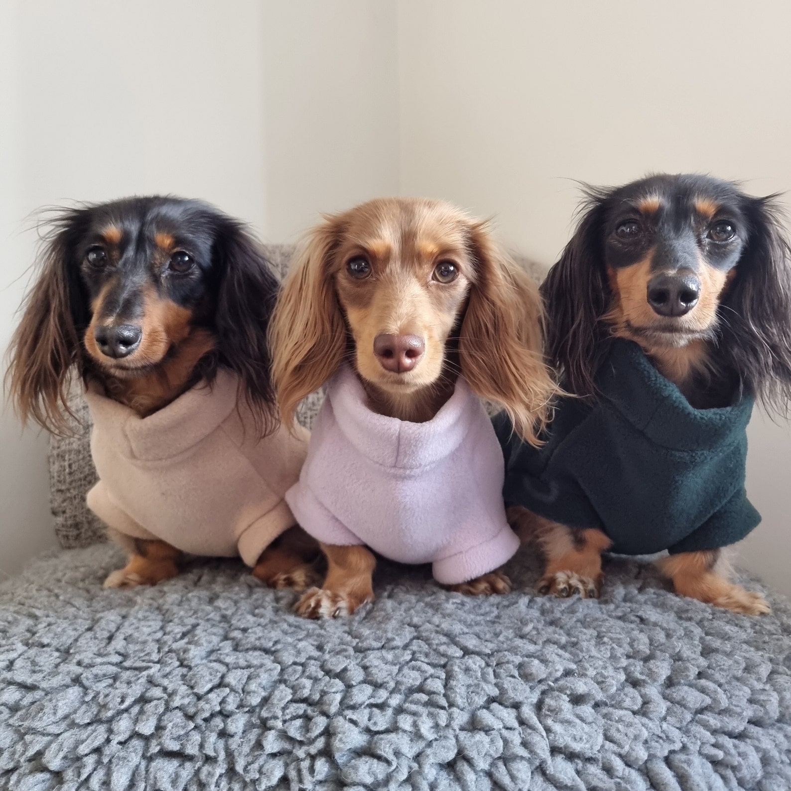 Custom Dachshund Fleece Jumper: Winter Warm Coat
