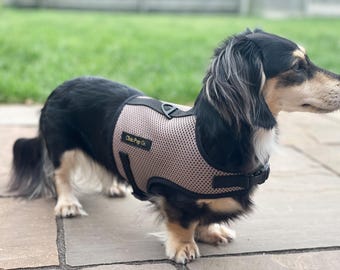 Arnés para perros salchicha sin rozaduras / Ajuste personalizado para perros salchicha para evitar rozaduras / Arnés de malla transpirable para perros
