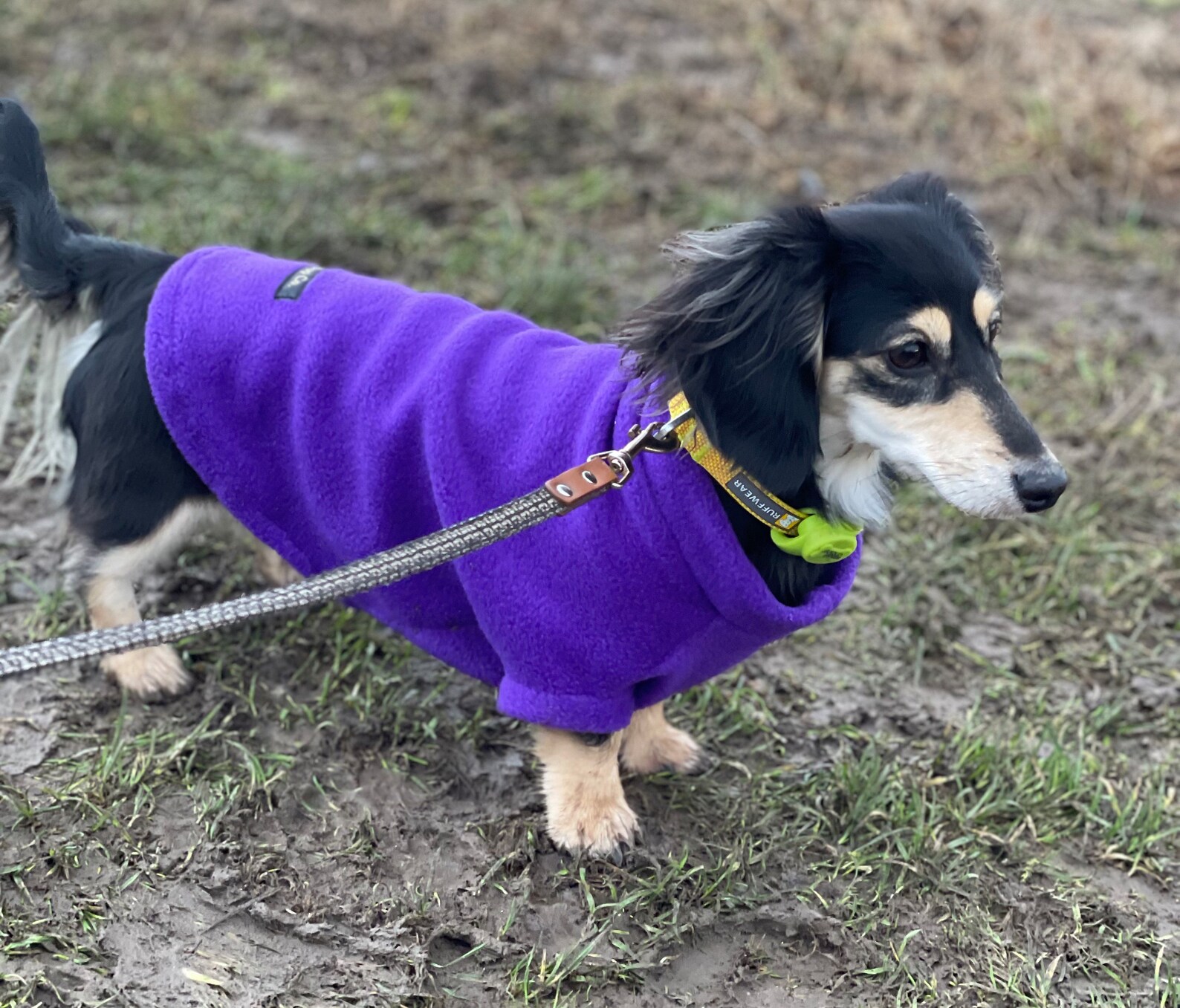 Luxury Dachshund Fleece Custom Made Fleece Jumper Dachshund Etsy