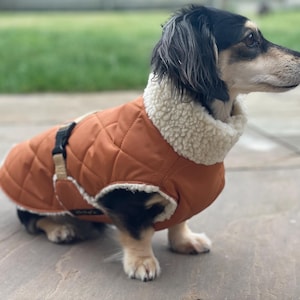 Extra Warm Dachshund Coat, Waterproof Dog Coat, Dachshund Sherpa Coat