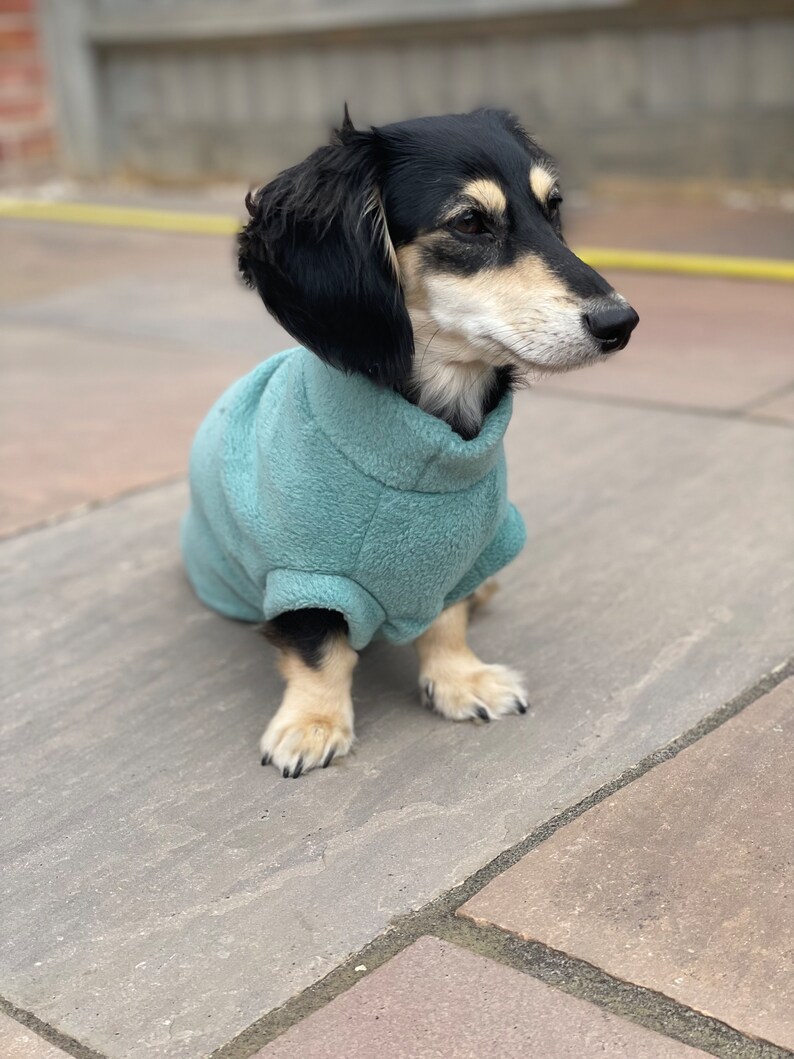 Luxury Dachshund Fleece Custom Made Fleece Jumper Dachshund Etsy