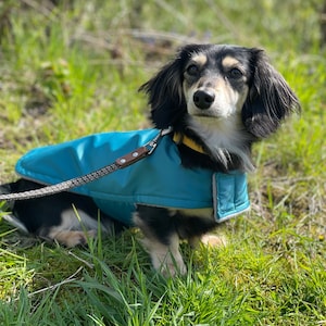 Waterproof Dachshund Coat: Custom Fit Lightweight Dog Coat