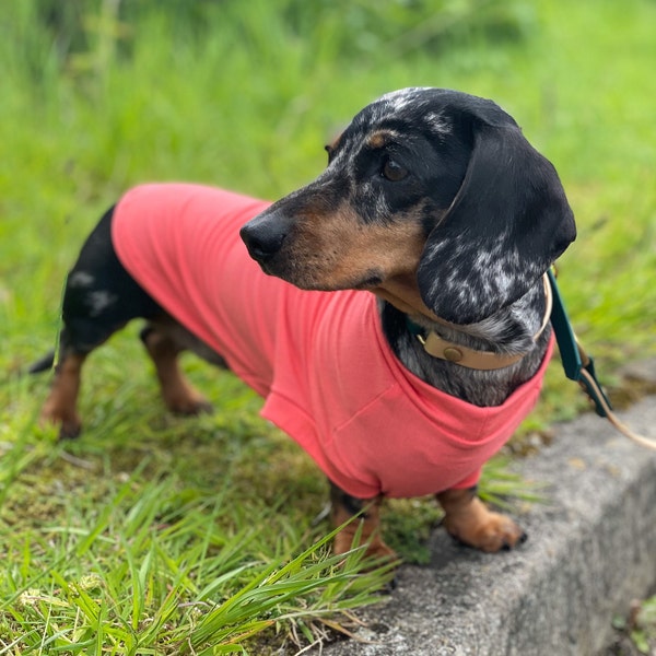 Bamboo Dachshund Anti- Allergy and Cooling Shirt, Dachshund Jumper, Dachshund Cooling Coat