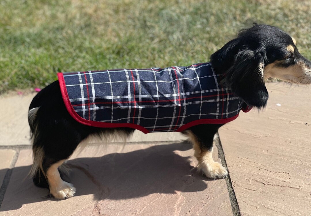 Waterproof Tartan Dachshund Coat, Customfit Raincoat for Dachshunds