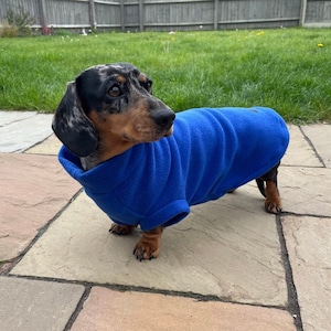 Dachshund Fleece Dachshund jumper zdjęcie 10