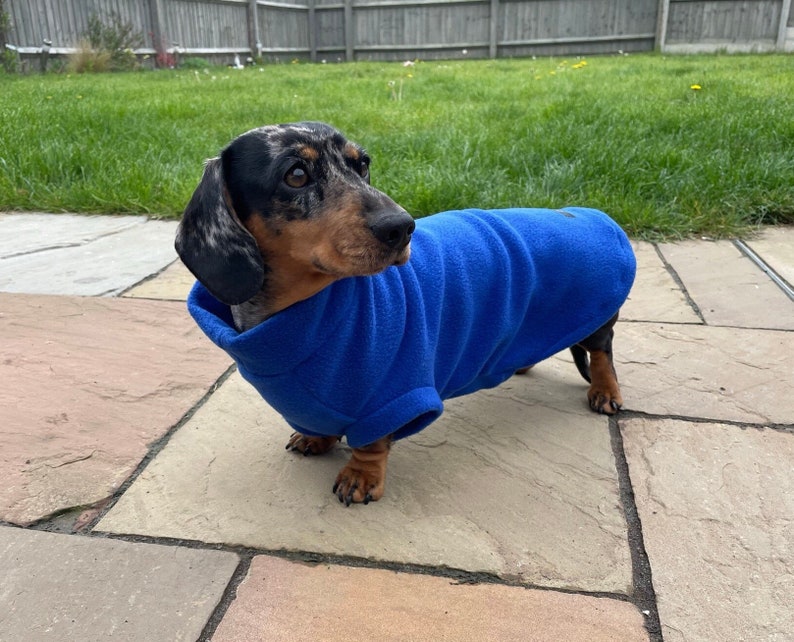 Dachshund Fleece Dachshund jumper zdjęcie 10