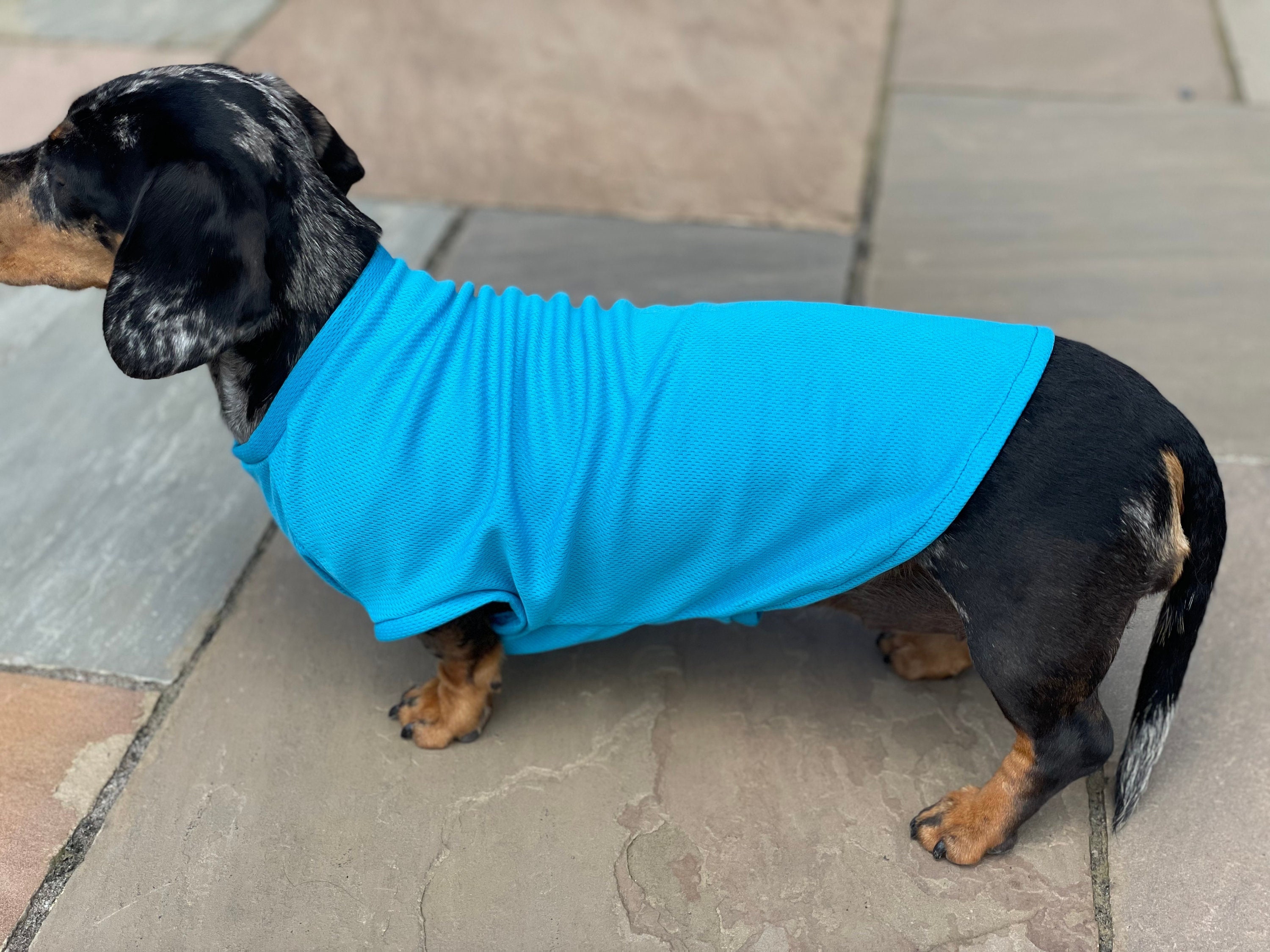 Textiles Et Accessoires Pour Chiens - Manteau Rafraîchissant Chien Taille