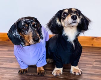Waterproof Dachshund Suit: Lightweight 4-Legged Dog Onesie