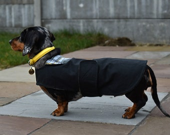 Manteau de cire de teckel de luxe, manteau imperméable de teckel, manteau fait sur commande de chien, cadeau de teckel